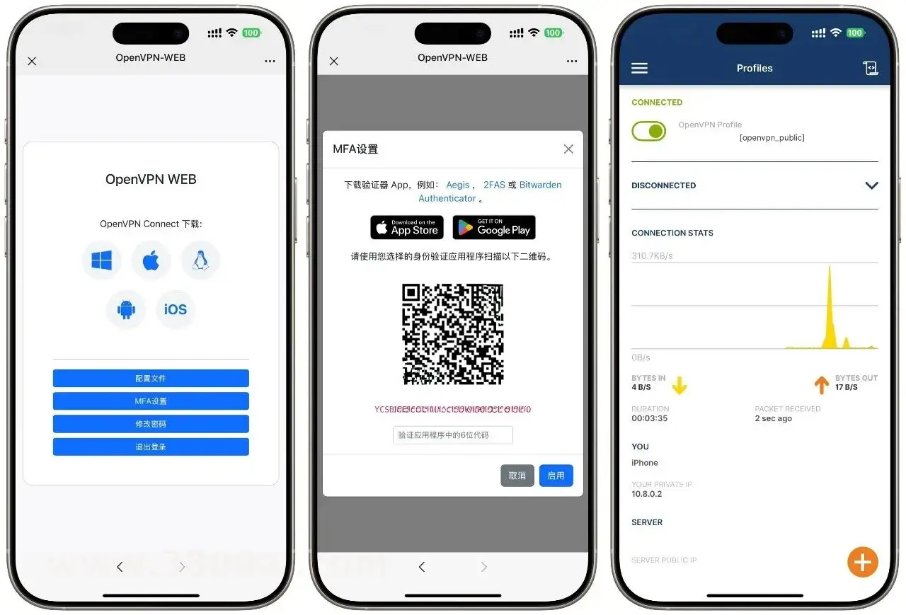 Docker部署OpenVPN实战指南 | Web可视化配置 | 完美接入多种组网方案