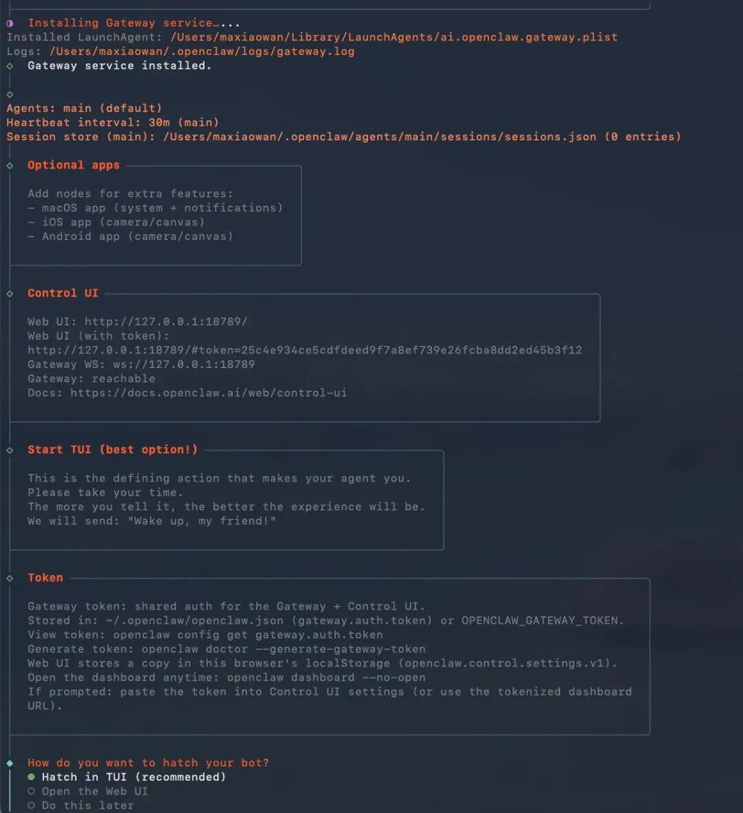 OpenClaw网关服务安装与配置终端日志截图