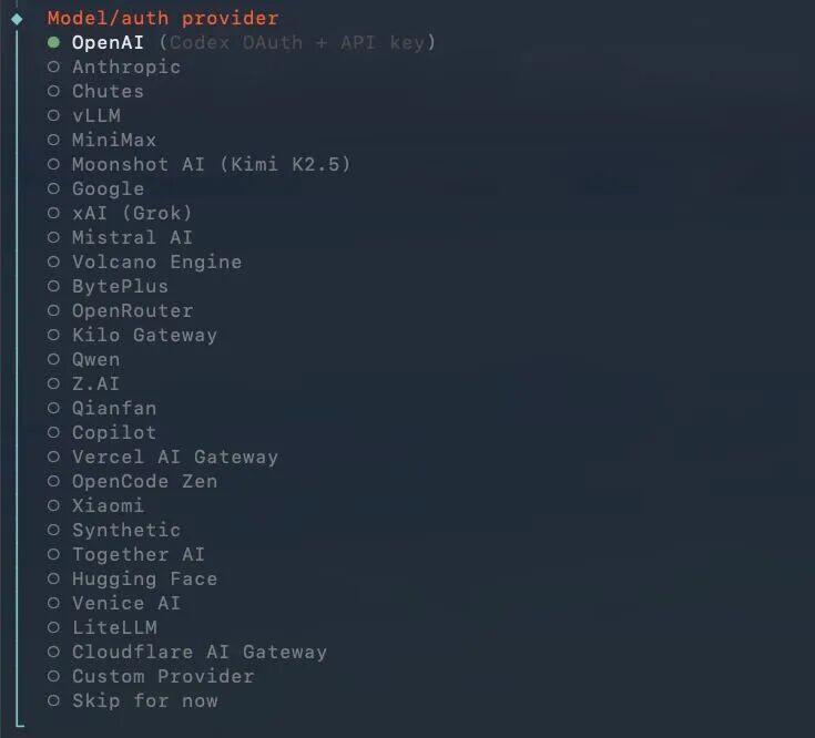 Model/auth provider配置列表，OpenAI被选中