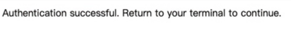 终端显示认证成功提示信息
