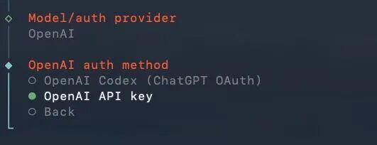 OpenAI认证方式配置界面，含API key选项