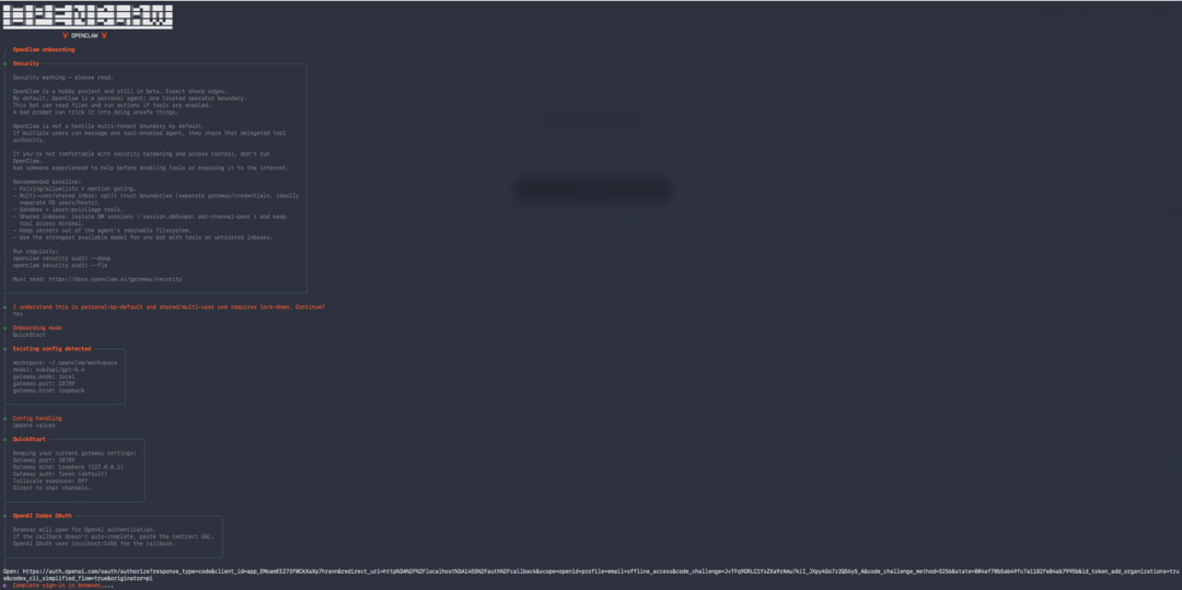 OpenClaw工具的安全配置与启动参数说明界面