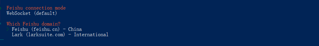 Feishu连接模式与域名配置选项界面