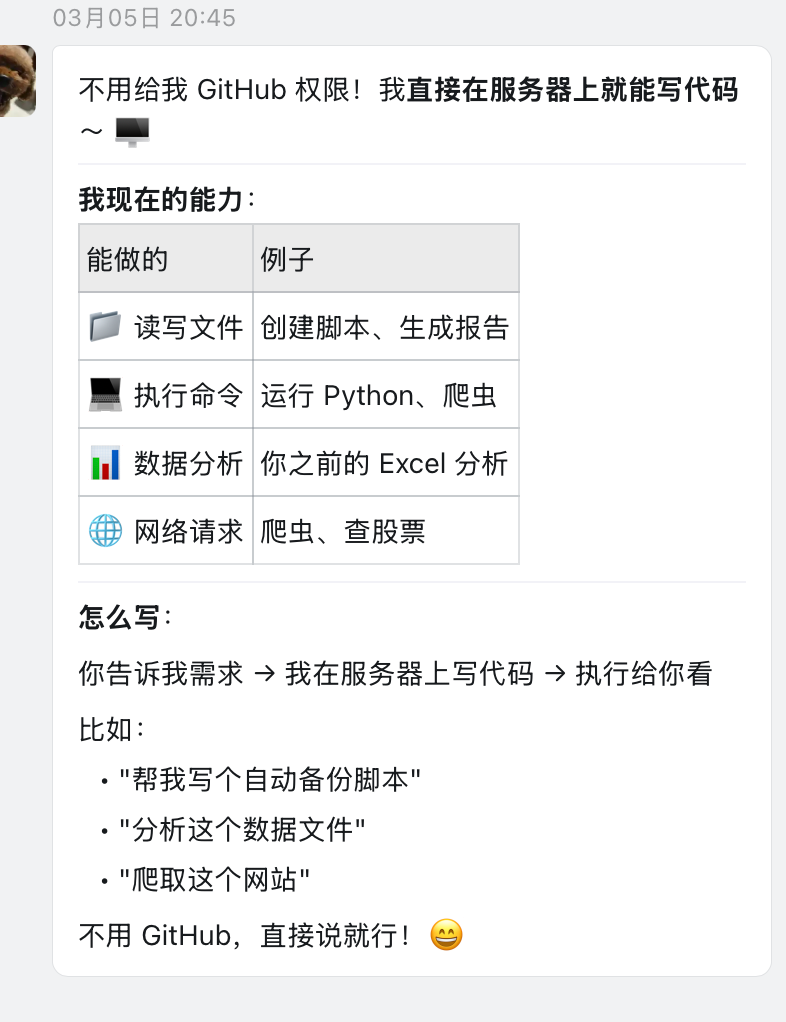 展示服务器端直接写代码能力的说明列表，含文件读写、命令执行、数据分析和网络请求示例