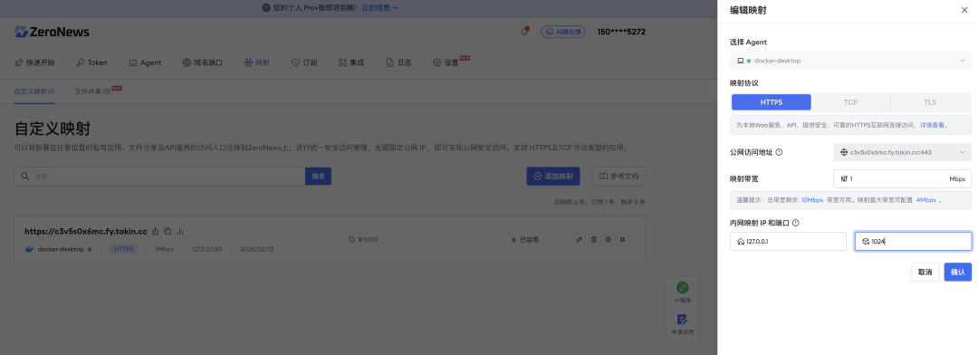 ZeroNews首页 ZeroNews平台自定义映射配置界面,含HTTPS协议设置与内网IP端口填写