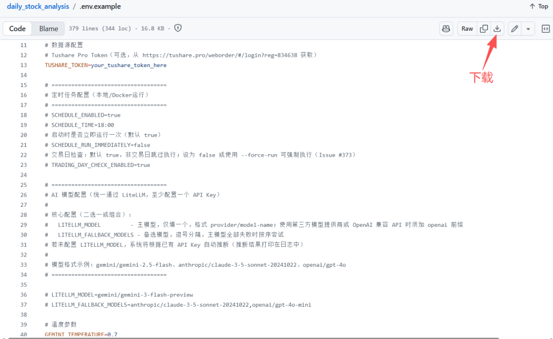 代码编辑器界面显示.env.example配置文件内容及下载按钮