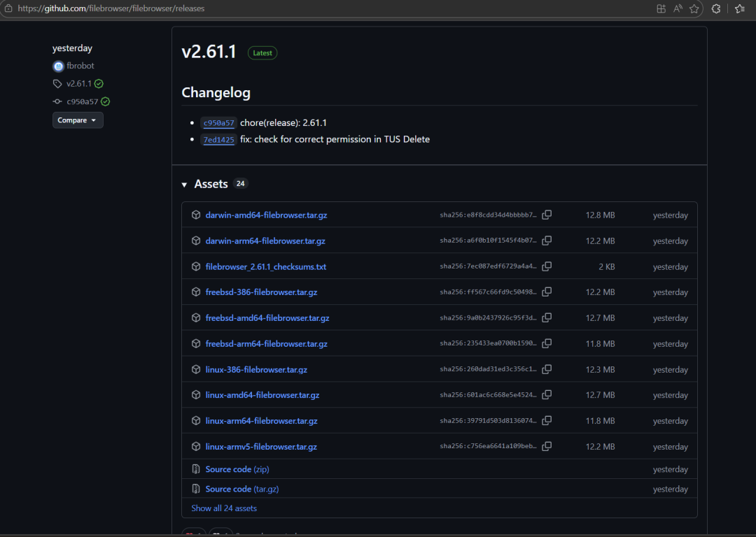 GitHub上File Browser v2.61.1版本发布页，含更新日志与多平台安装包列表