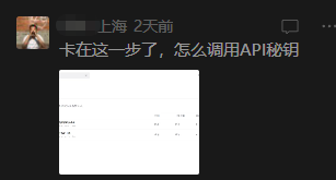 用户提问卡在API密钥调用步骤的截图
