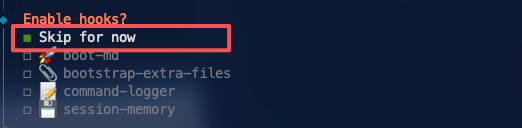 代码编辑器界面中高亮显示“Skip for now”选项