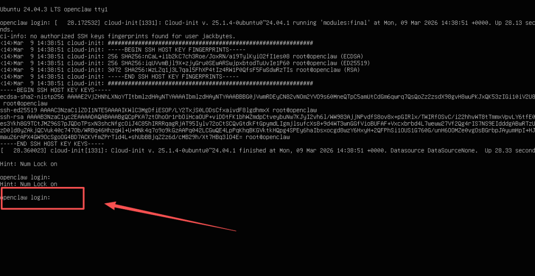 Ubuntu终端显示OpenClaw云初始化日志及SSH密钥指纹信息
