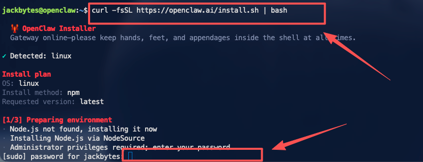 终端显示OpenClaw安装脚本执行过程及sudo密码输入提示
