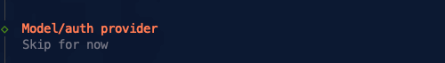 深色背景终端界面显示Model/auth provider及Skip for now提示