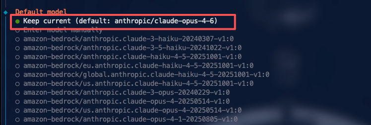 代码界面显示默认模型为anthropic/claude-opus-4-6